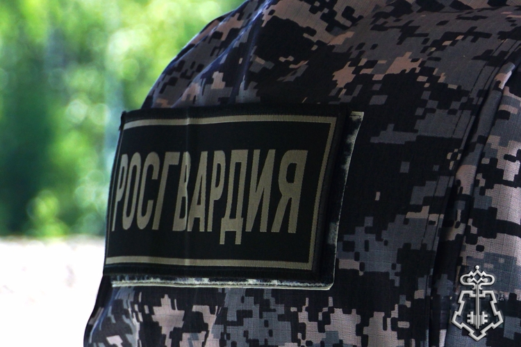 НОЧЬЮ НАРЯД РОСГВАРДИИ ЗАДЕРЖАЛ ГРАЖДАНКУ ЗА ПОПЫТКОЙ КРАЖИ