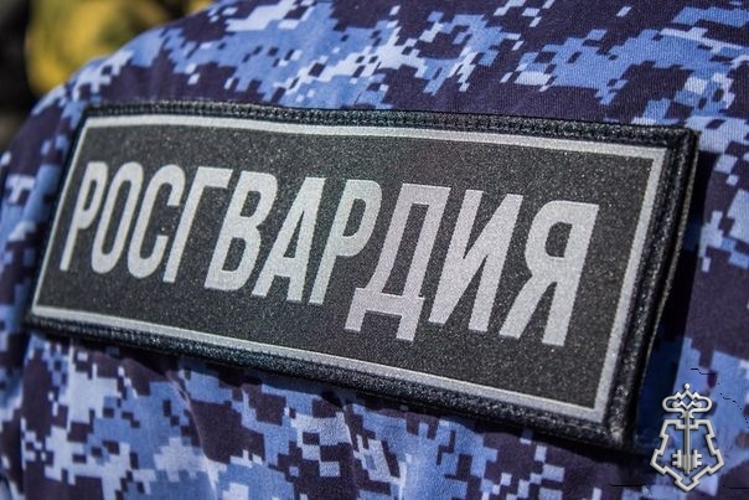 На 234 сигнала тревоги отреагировали карельские росгвардейцы за прошедшую неделю
