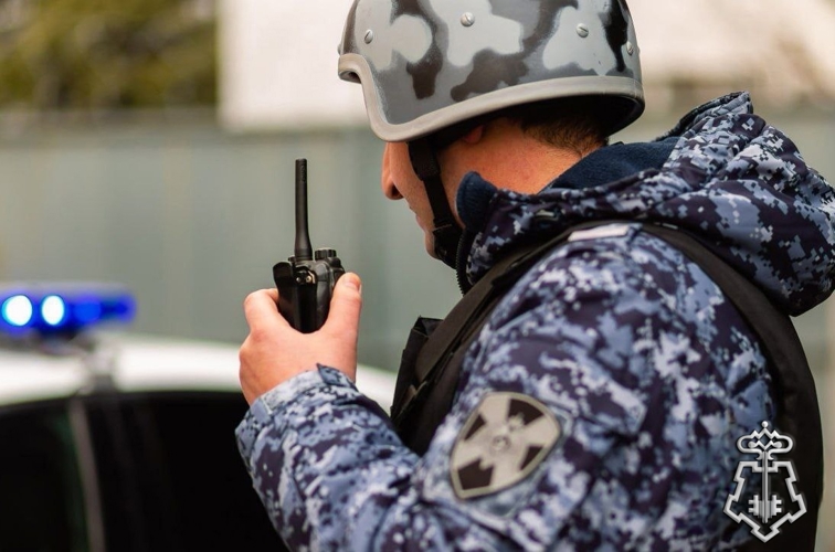 Пять правонарушителей задержаны нарядами Росгвардии за прошедшую неделю