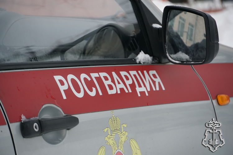 Восемь правонарушителей задержаны росгвардейцами за прошедшую неделю