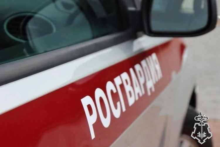 За прошедшую неделю сотрудники Росгвардии более 300 раз выезжали по сигналу «тревога»