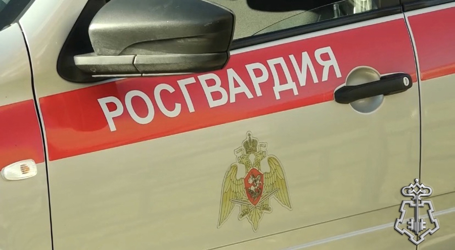 Карельские росгвардейцы задержали 6 правонарушителей